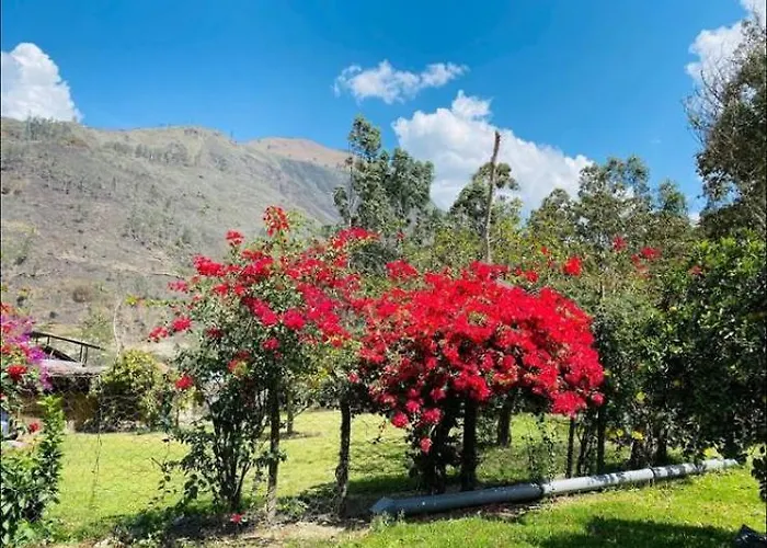 La Hacienda & *